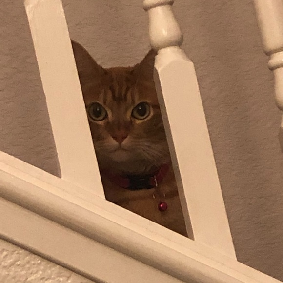 ✨offers accepted💝 - Picture 2 of 3